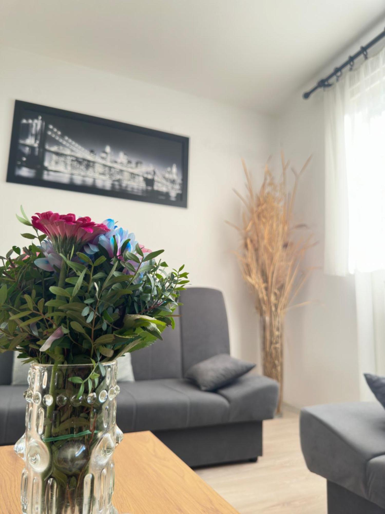Apartment Maky Zadar Eksteriør billede